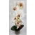 Aranjament orhidee silicon M99